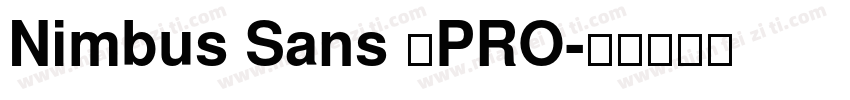 Nimbus Sans 了PRO字体转换